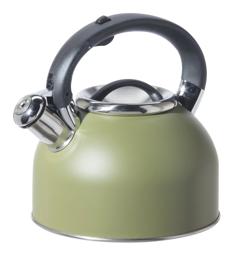 Stainless Steel Whistling Tea Kettle F15622