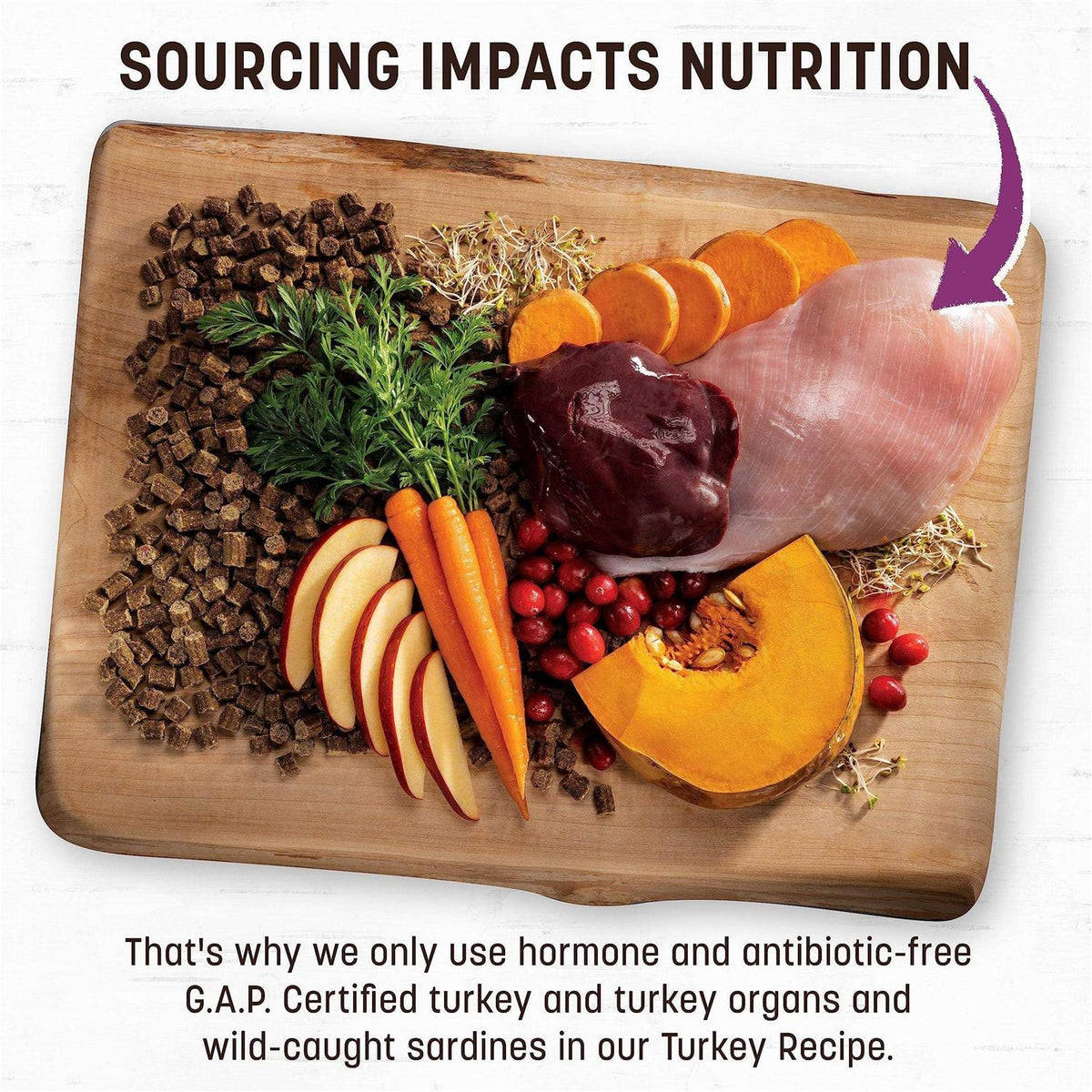 Air Dried Turkey Dog Food R8794