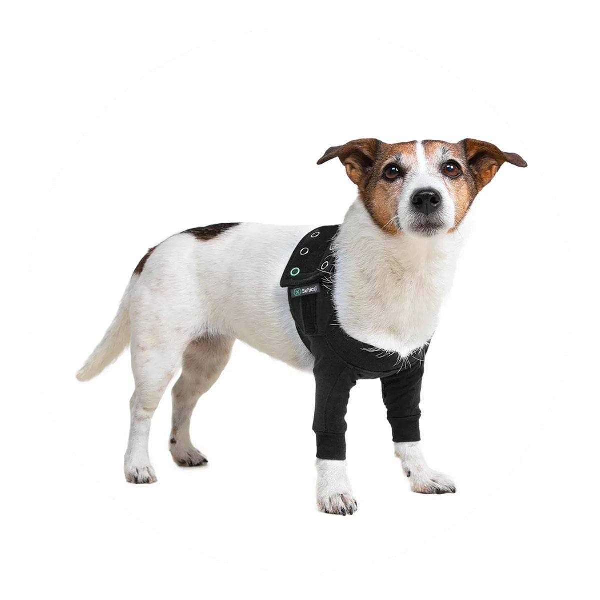 Dog Recovery Sleeves E72388