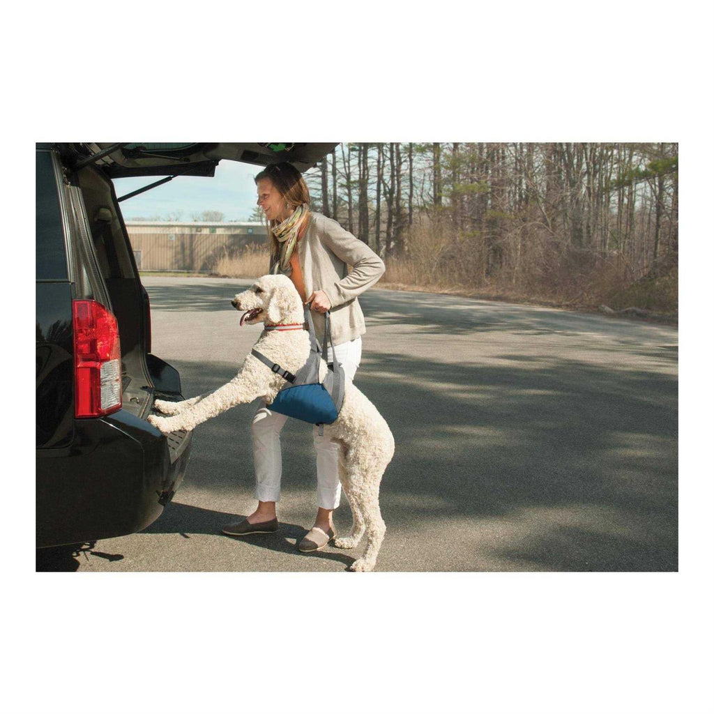 Dog Lifter D202965