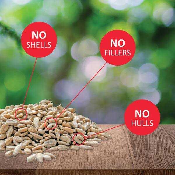 Sunflower Kernels Pet Supplies F184