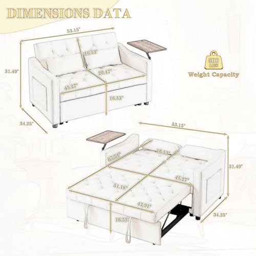 Velvet Full Size Sleeper Sofa with Pullout Bed M33722