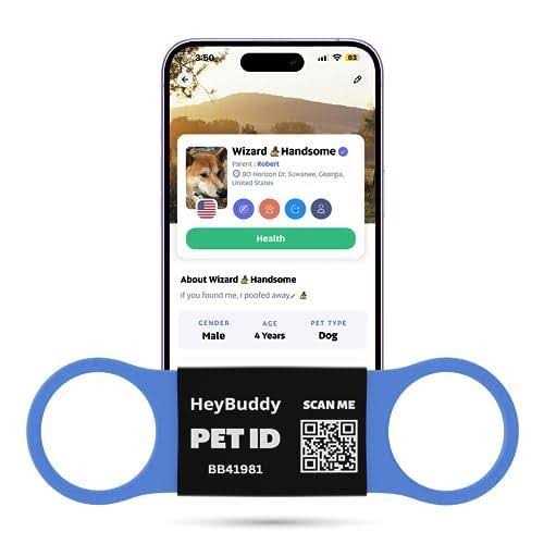 Noiseless QR Code Pet Tag V37596