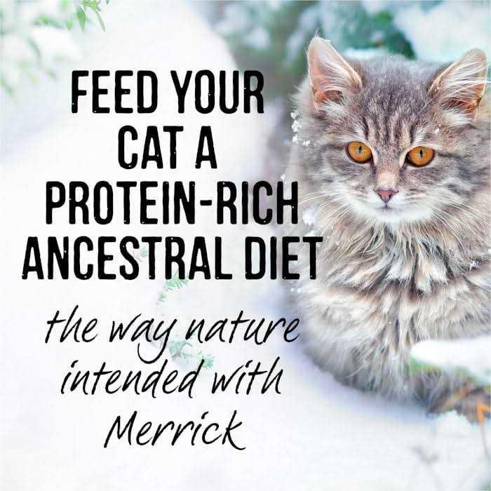 Real Cuts Cat Food L970