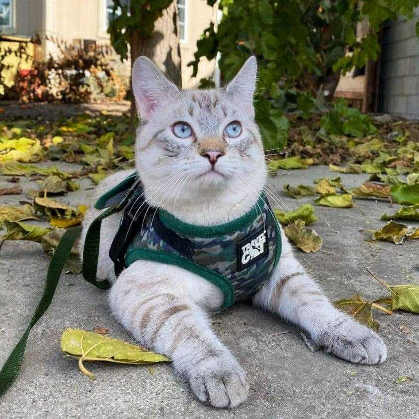 Reflective Cat & Kitten Harness and Leash Z3276