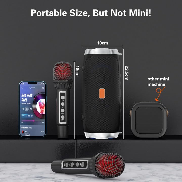 Portable Bluetooth Karaoke Machine with 2 Wireless Microphones M587
