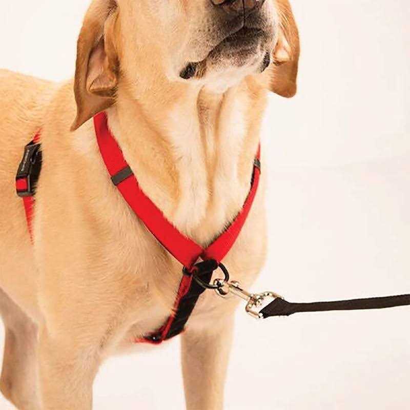 Harness R451