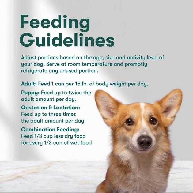 Grain-Free Sweet Potato Wet Dog Food I479796