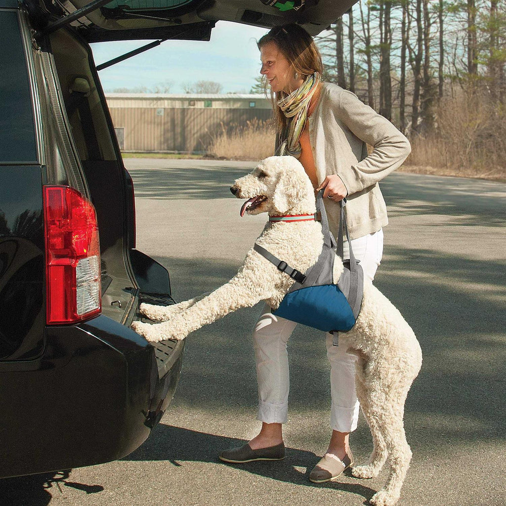 Dog Lifter D202965