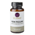 Fem Figure Supplement E52948