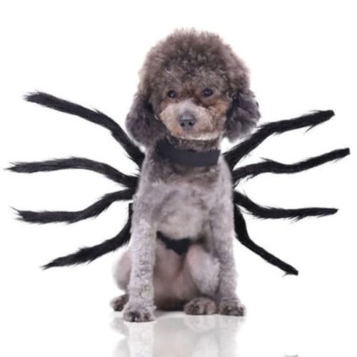 XX-Large Spider-Long Legs Pet Attire Z2521