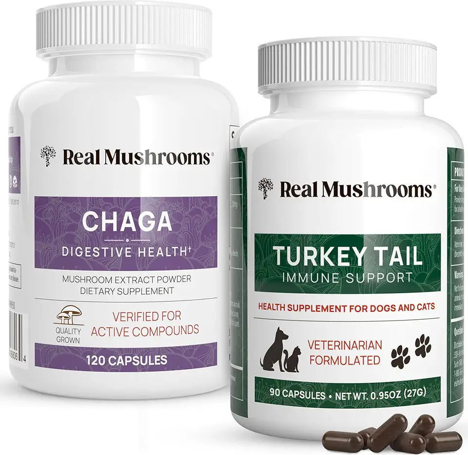Chaga & Turkey Tail Mushroom Extract Capsules R322830