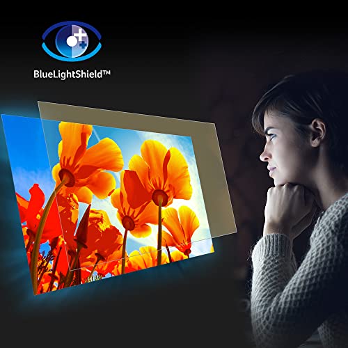 27" IPS Full HD 120Hz Gaming Monitor E966