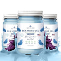 Wildcrafted Irish Sea Moss Gel Vegan-Friendly R4302