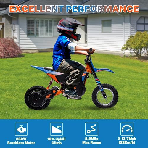 24V 250W Kids Electric Dirt Bike with Air-Filled Tires I368