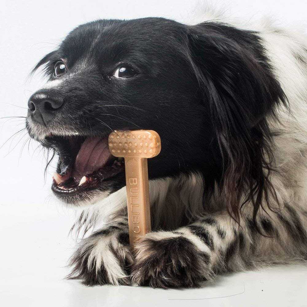 Nylon Dog Chew Toy Bone W313