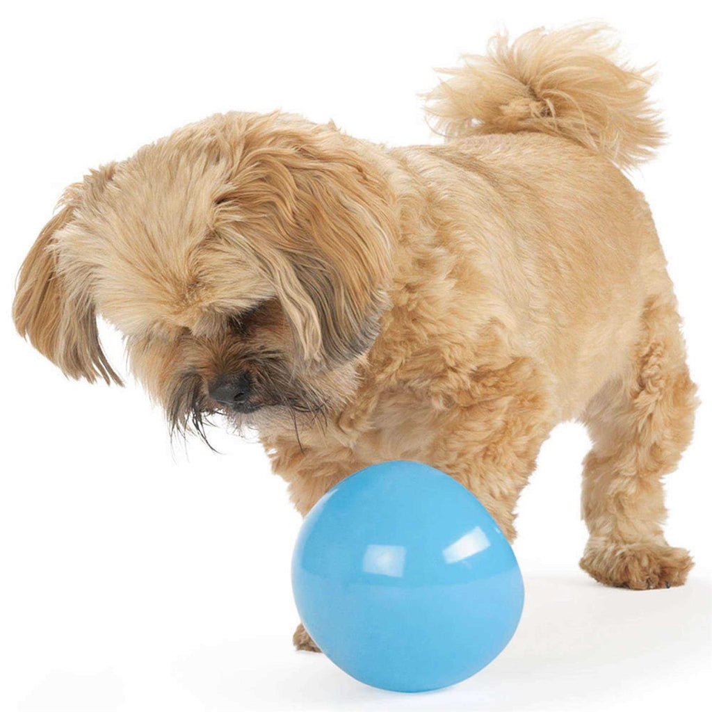 Dog Toy J62202