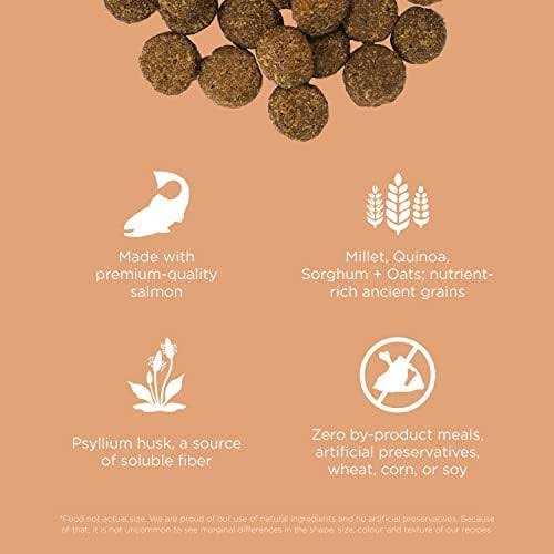 Salmon Recipe with Ancient Grains Dog Food W311906
