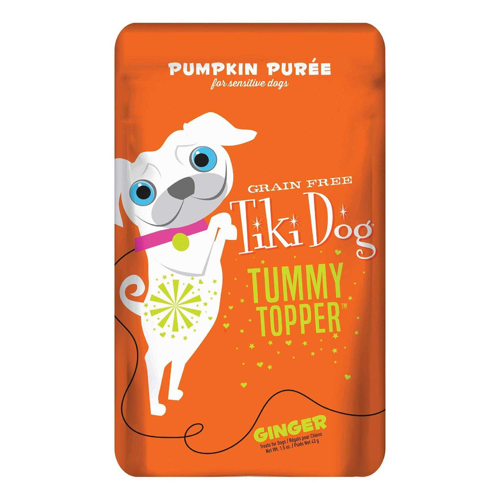 Pumpkin Ginger Dog Food Topper H1966