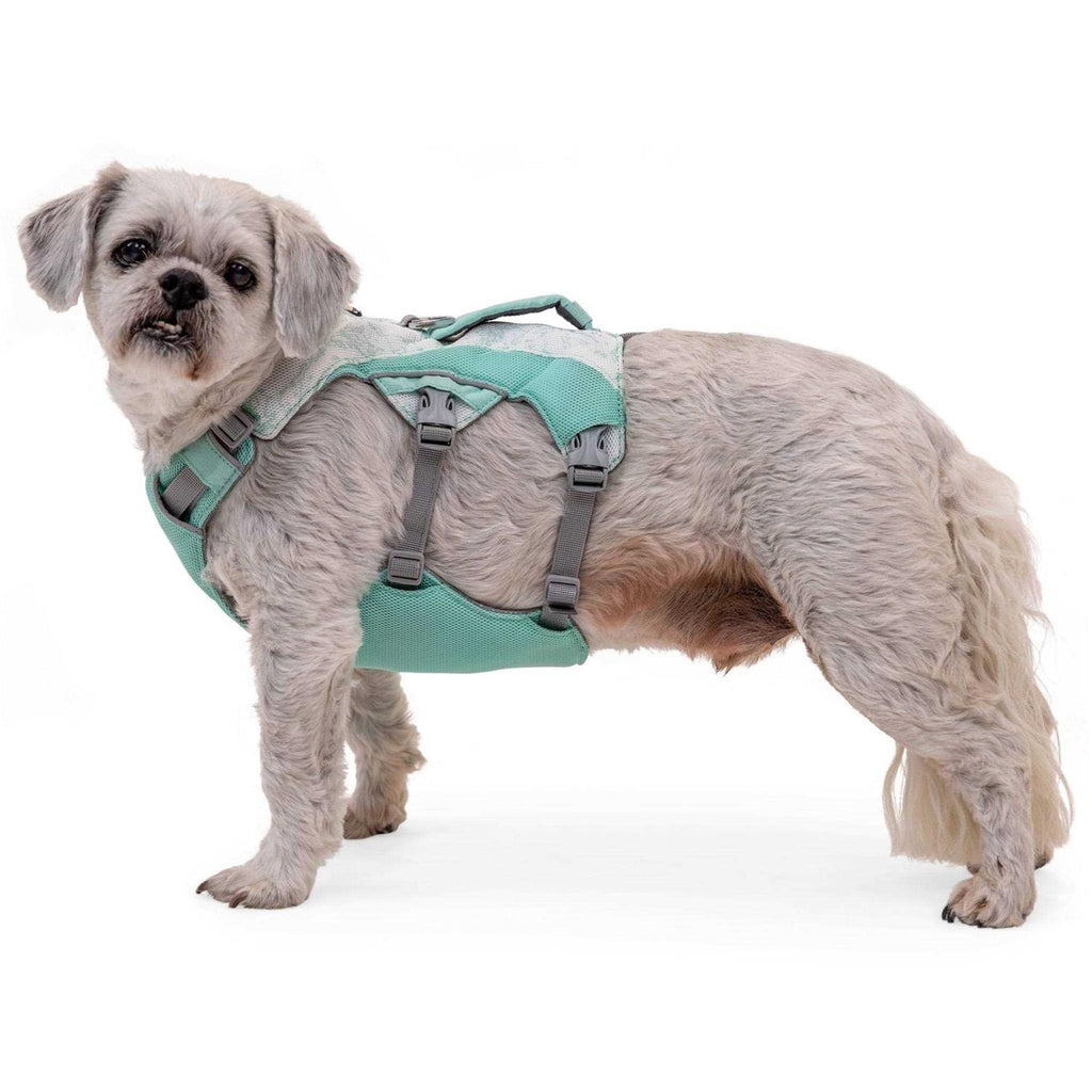 Dog Harness M253