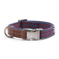 Webbed Dog Collar Y6571
