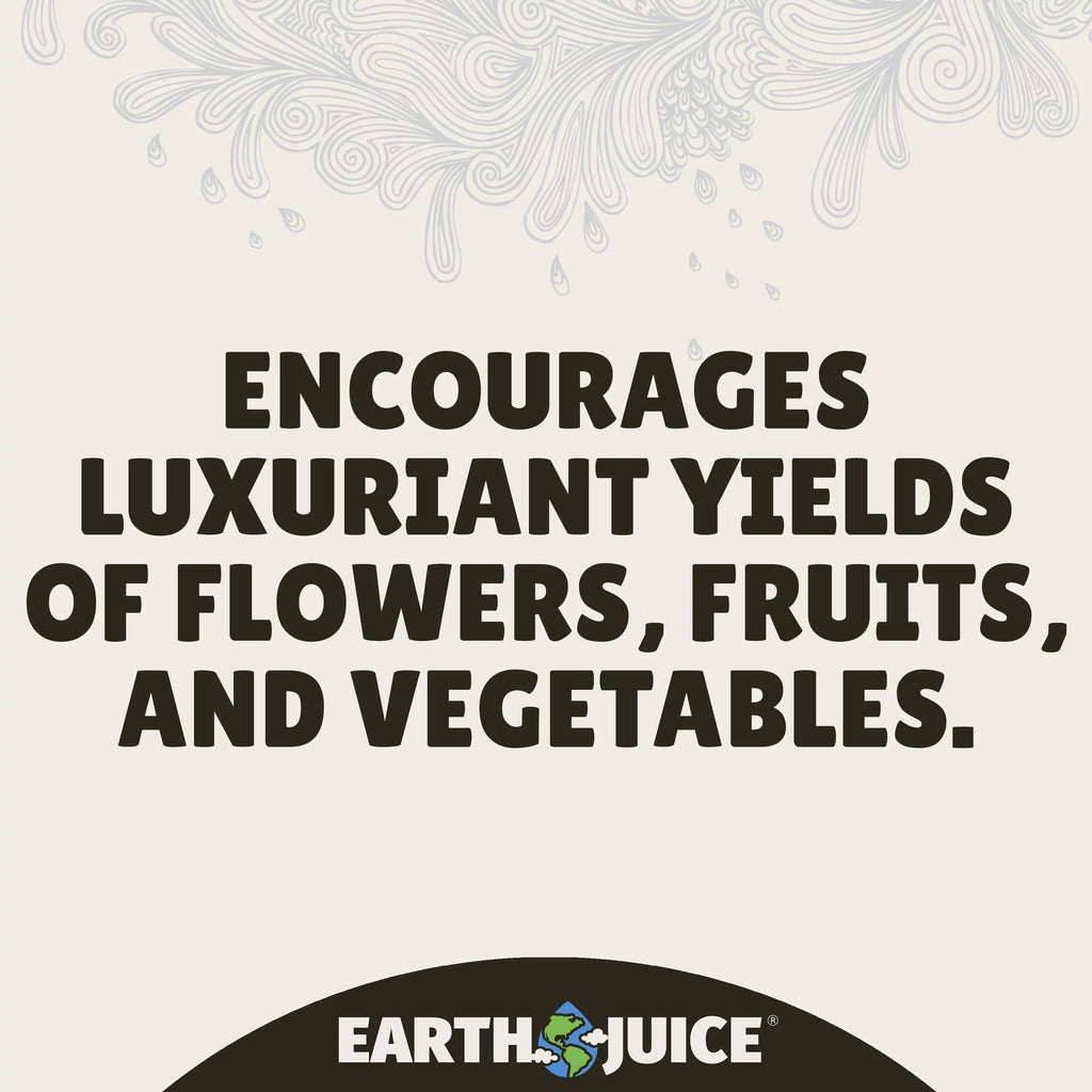 Flowering Plant Food 32 oz K158778