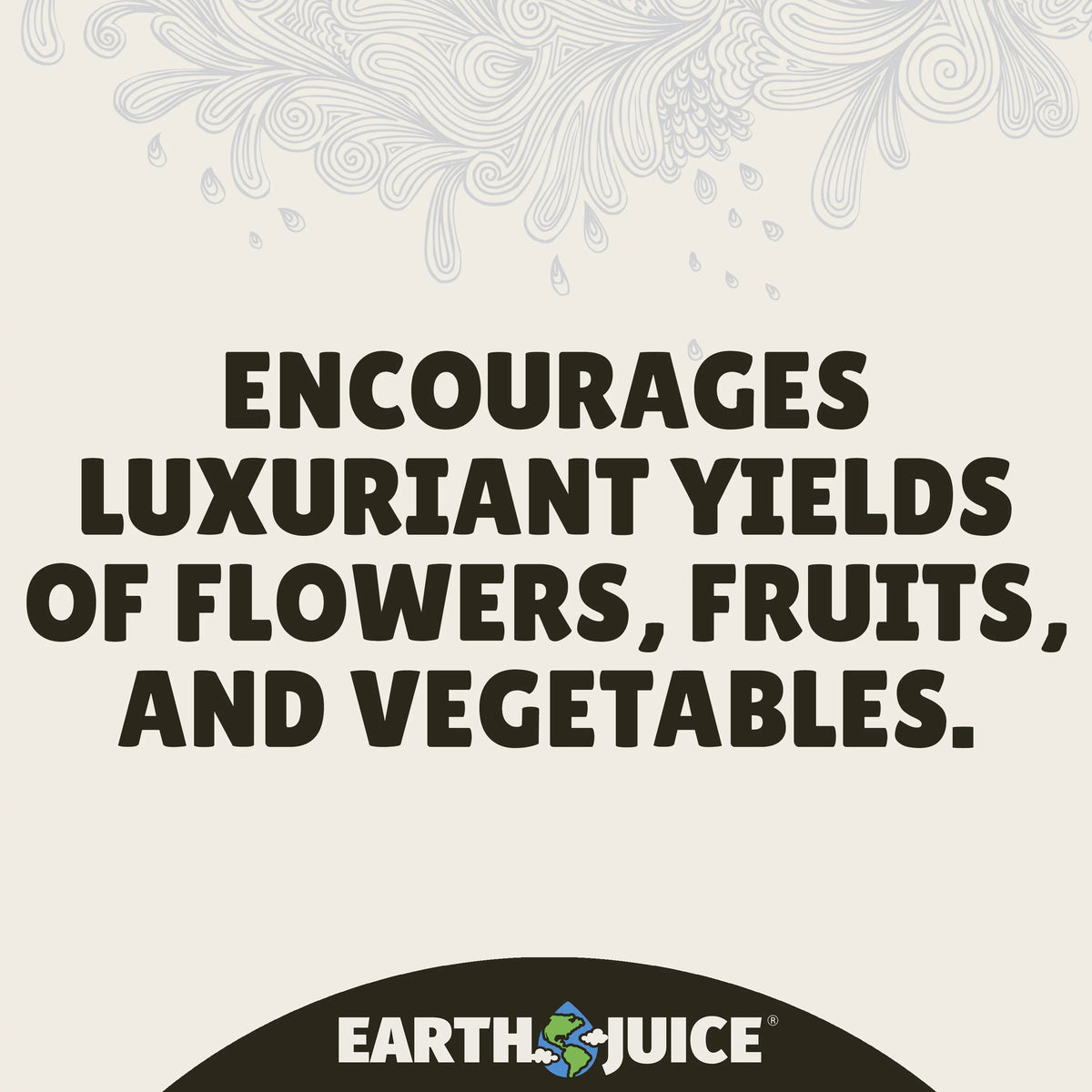 Flowering Plant Food 32 oz K158778