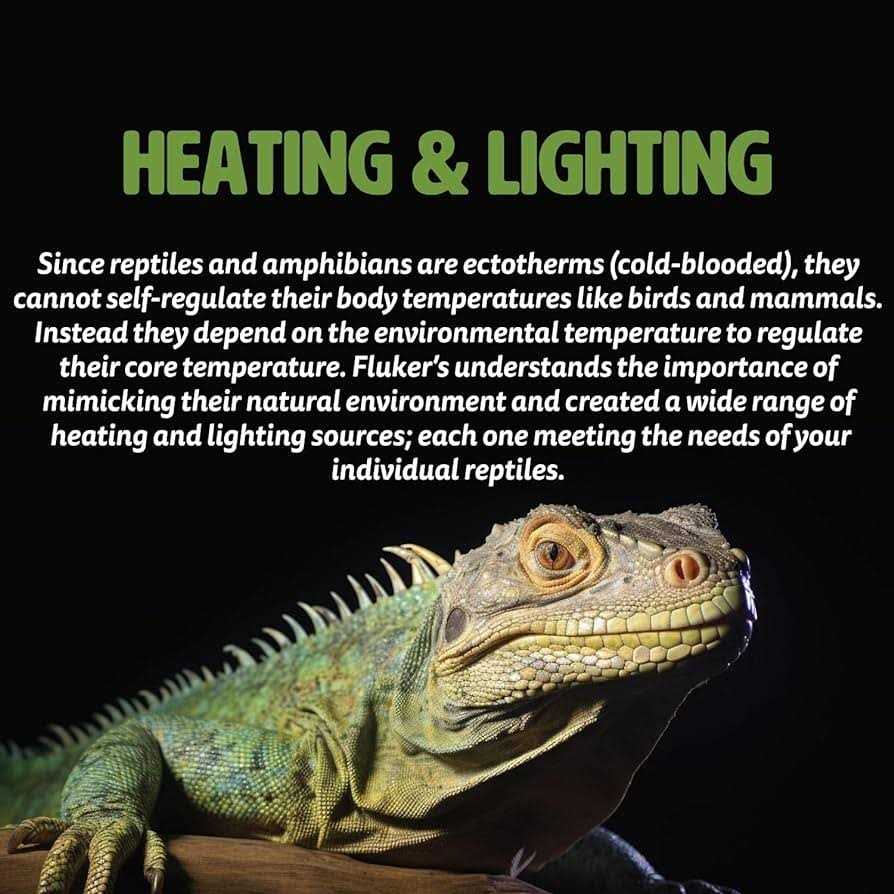 Deep Thermal Heat Lamp for Reptiles R198
