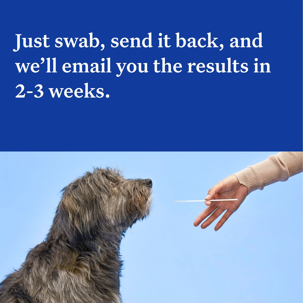 Dog DNA Test O3588