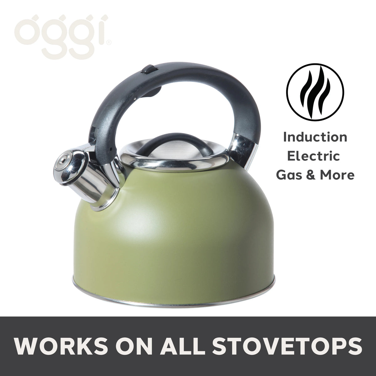 Stainless Steel Whistling Tea Kettle F15622