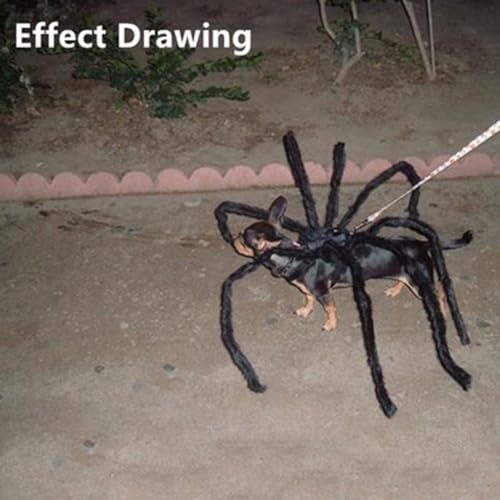 XX-Large Spider-Long Legs Pet Attire Z2521