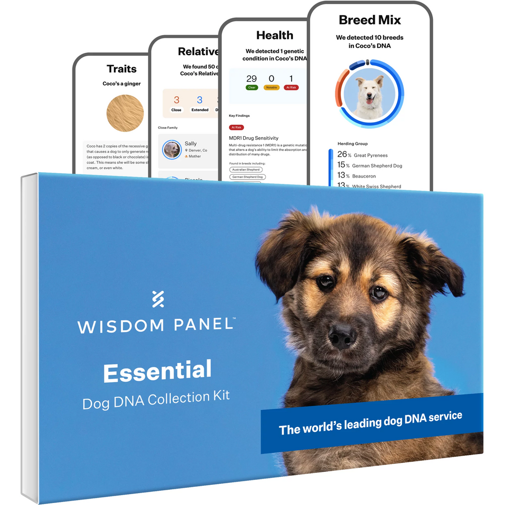 Dog DNA Test O3588