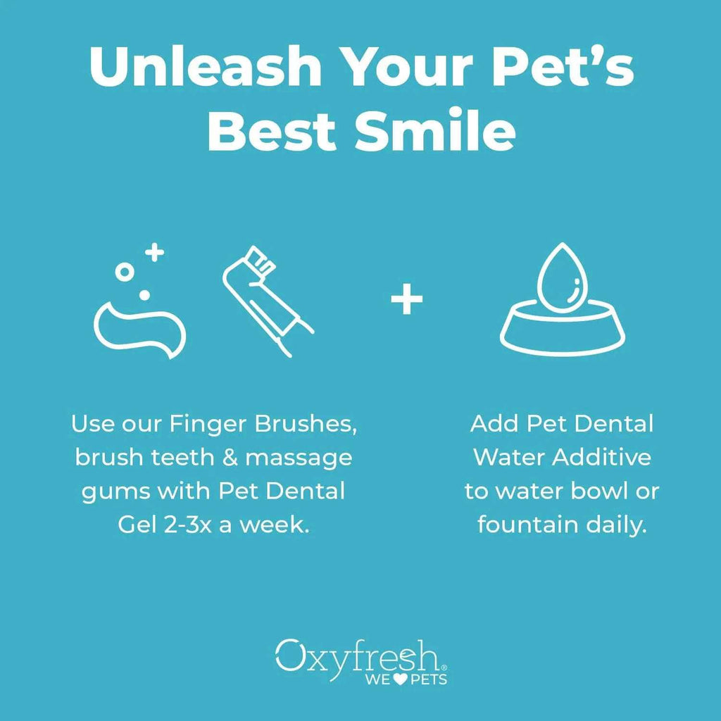 Pet Dental Kit N491758
