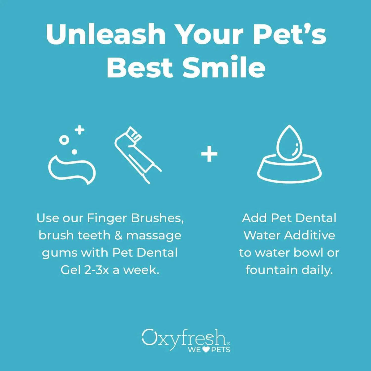 Pet Dental Kit N491758