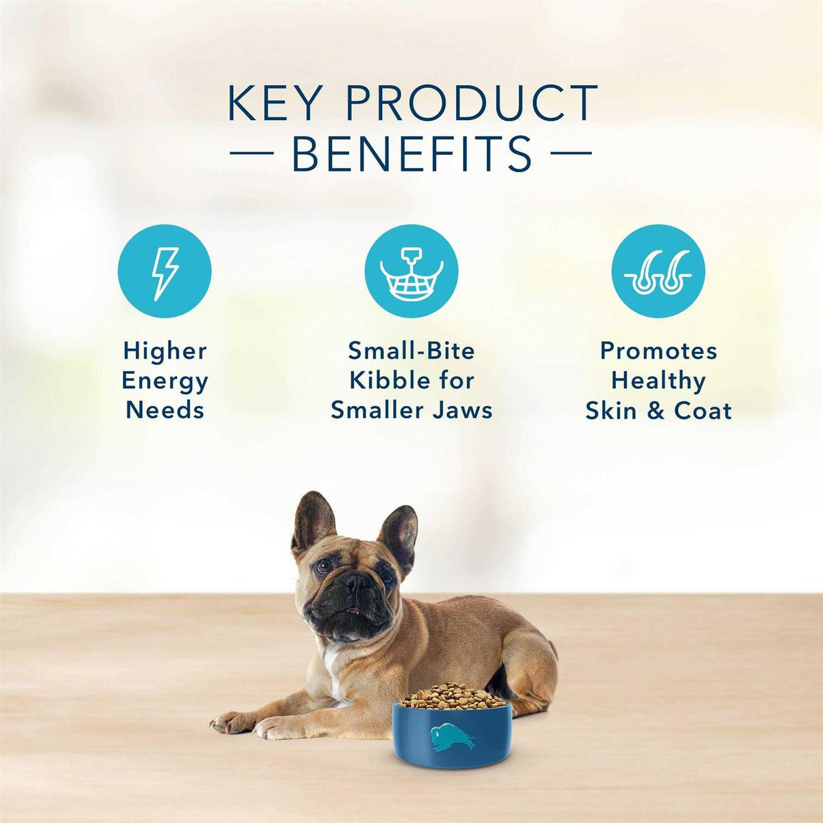 Turkey & Potato Small Breed Dry Dog Food W91587