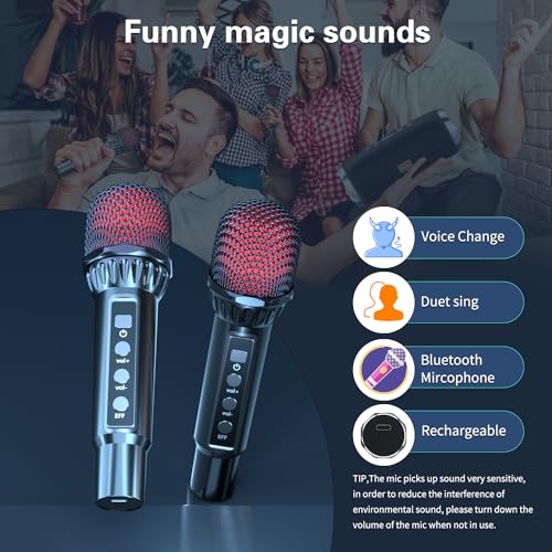 Portable Bluetooth Karaoke Machine with 2 Wireless Microphones M587