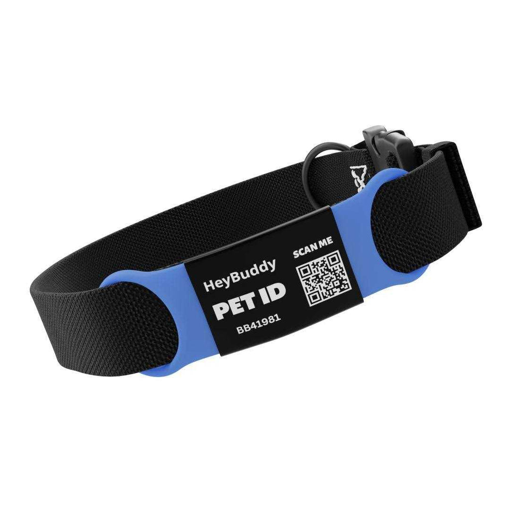 Noiseless QR Code Pet Tag V37596