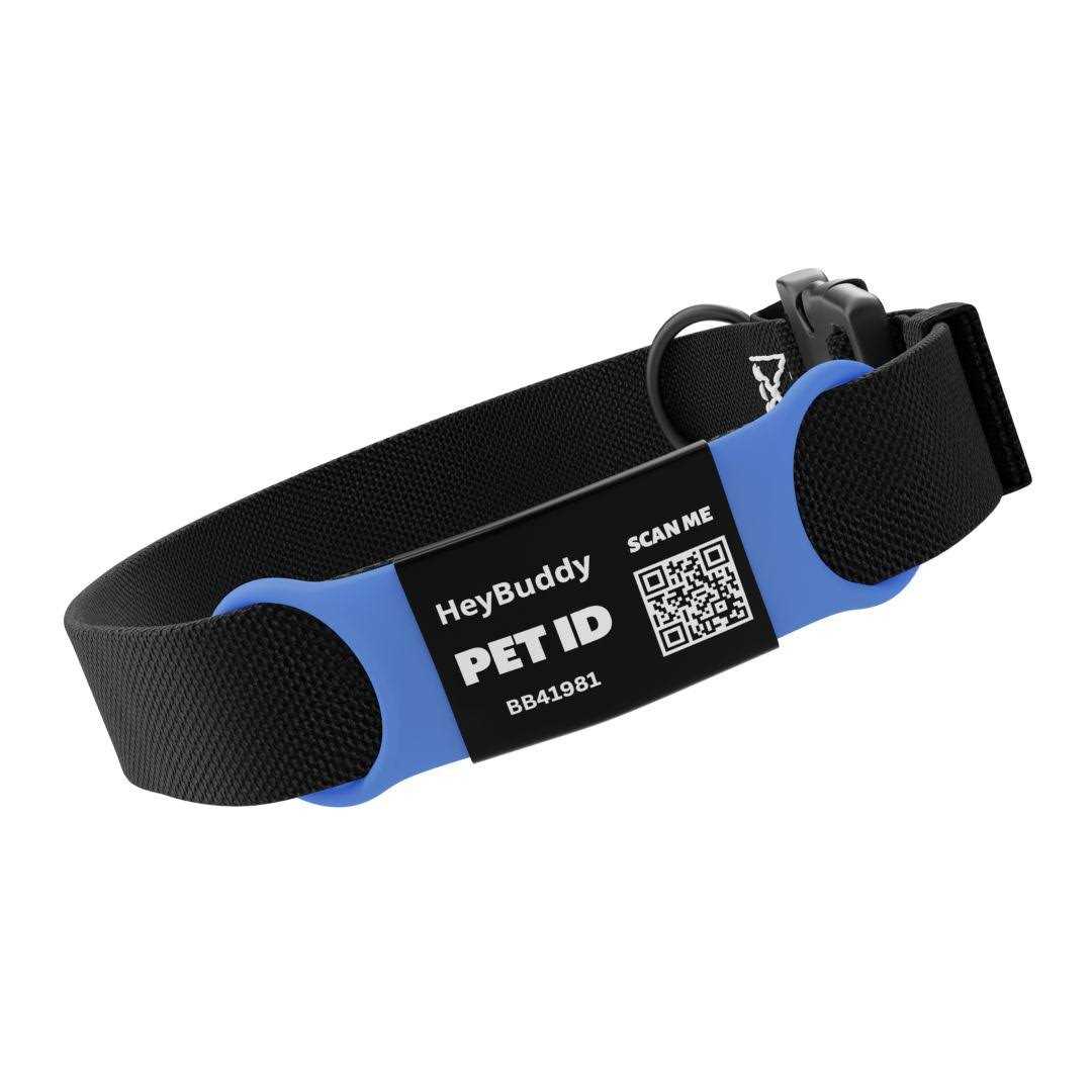 Noiseless QR Code Pet Tag V37596