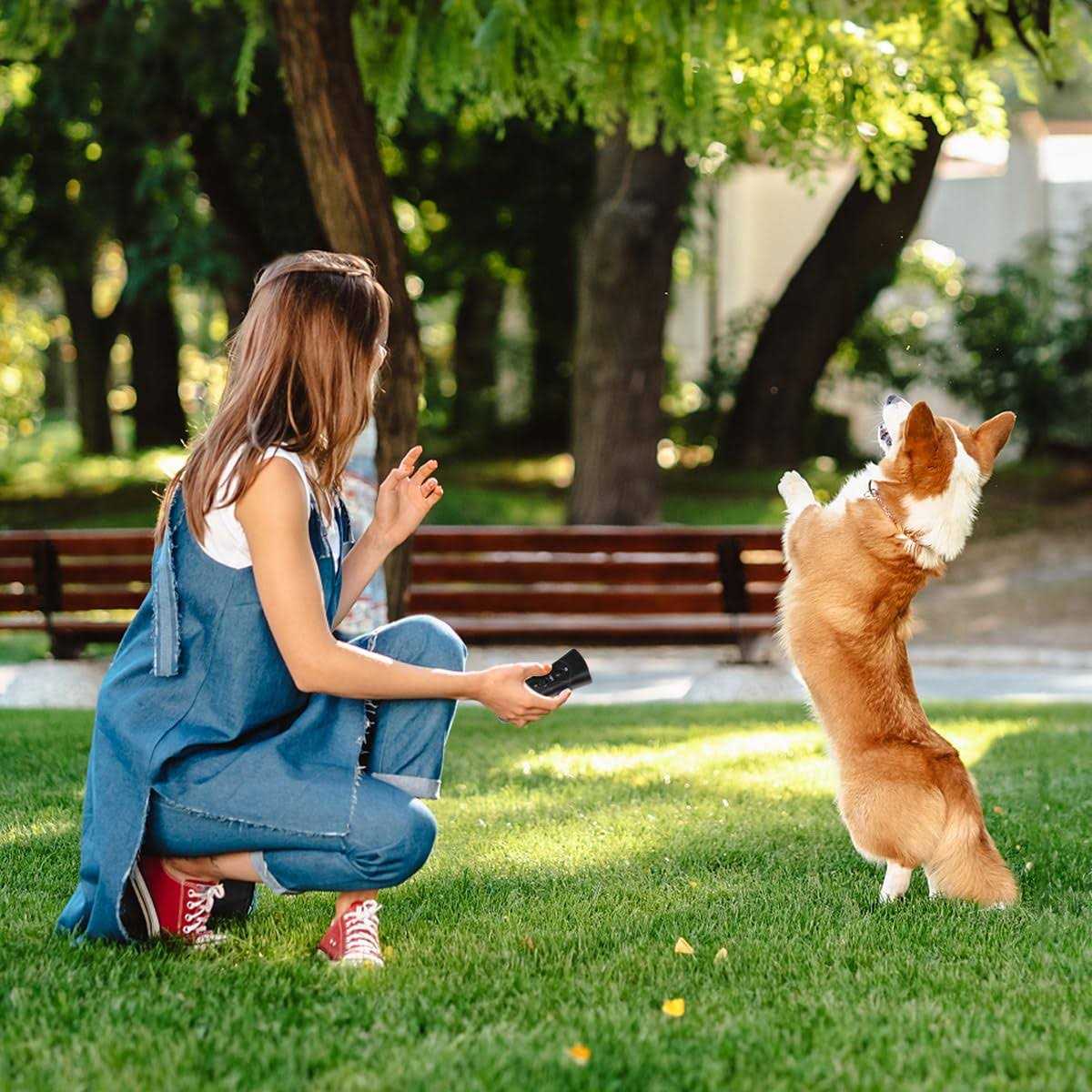 Ultrasonic Dog Training Machine T323709