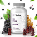 Sea Moss Gummies with Elderberry 60 pcs E77712