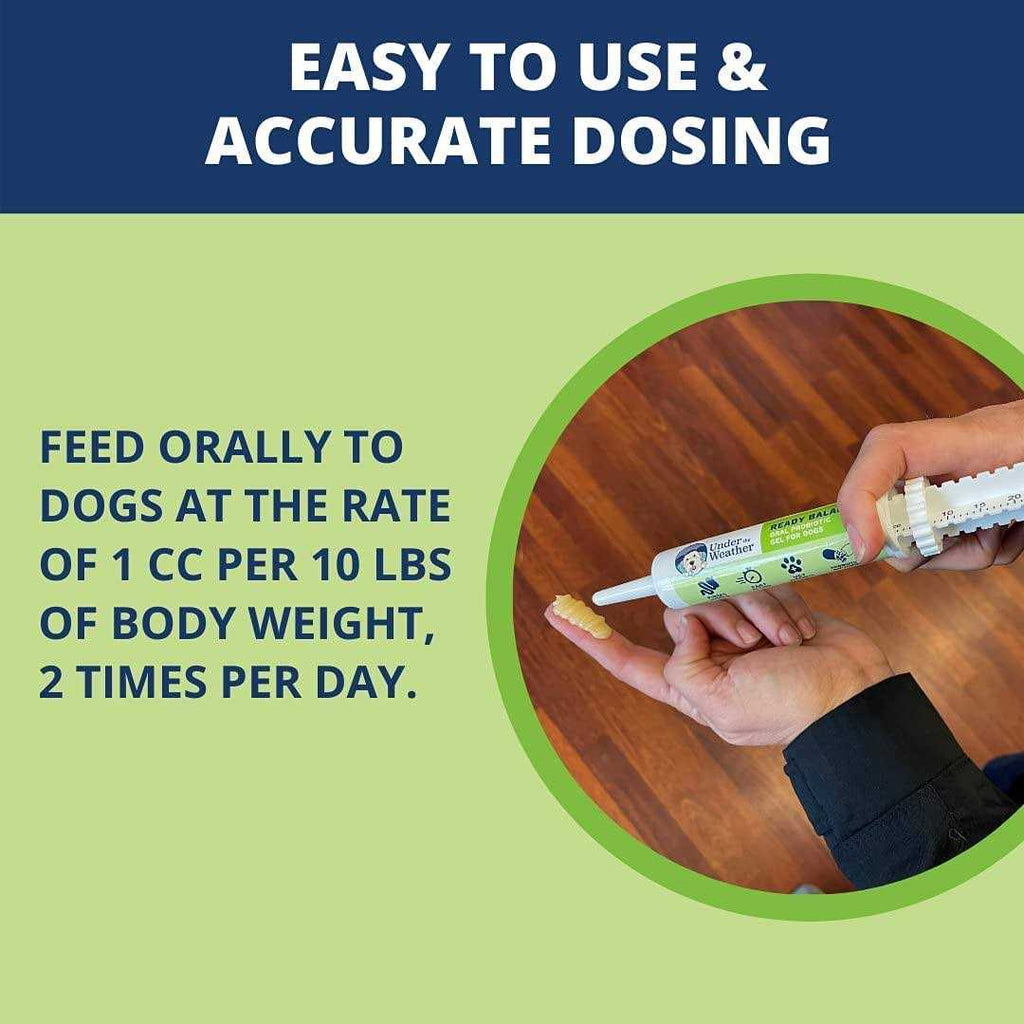 Ready Balance for Dogs F83489