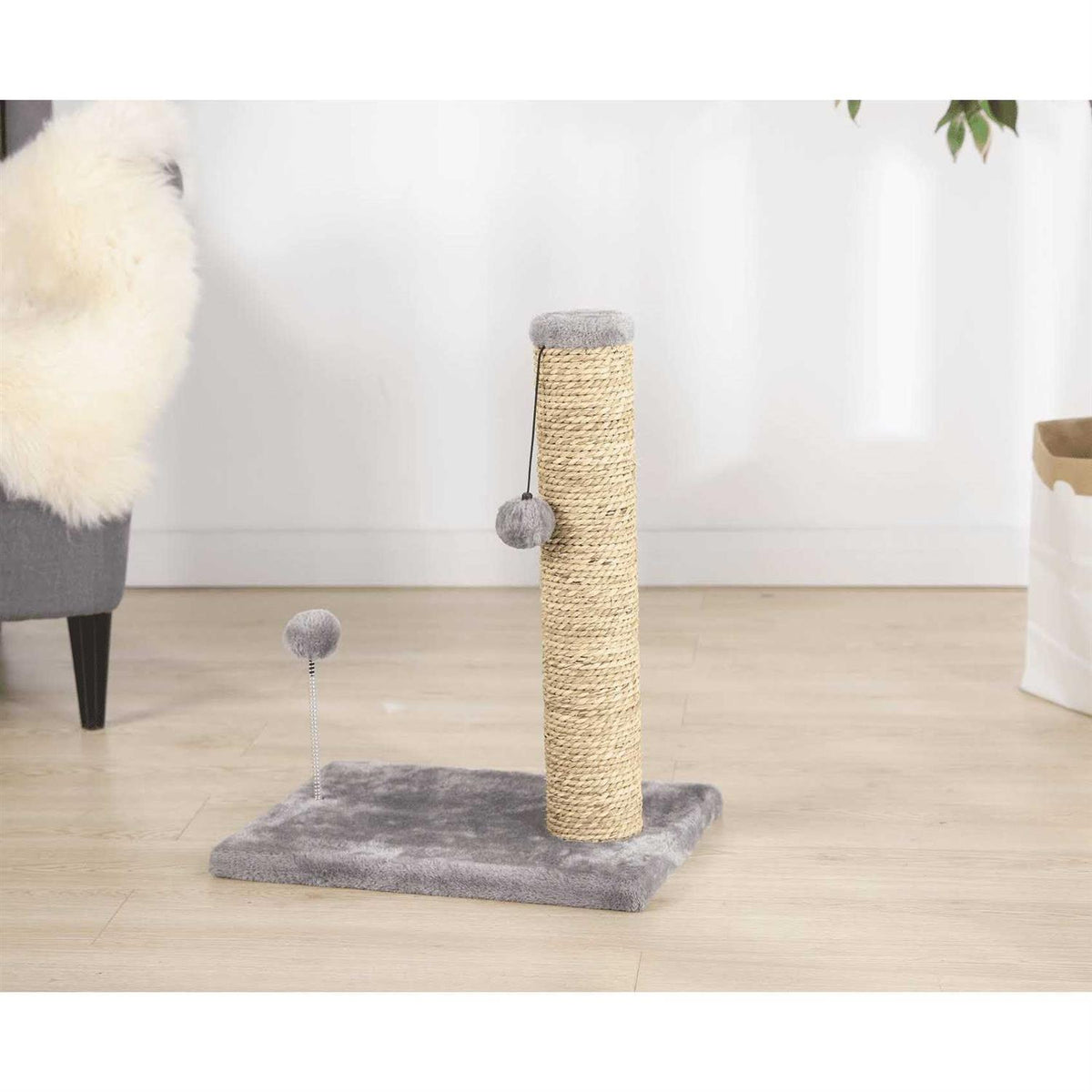 Small Seagrass Scratch and Play Post A4865