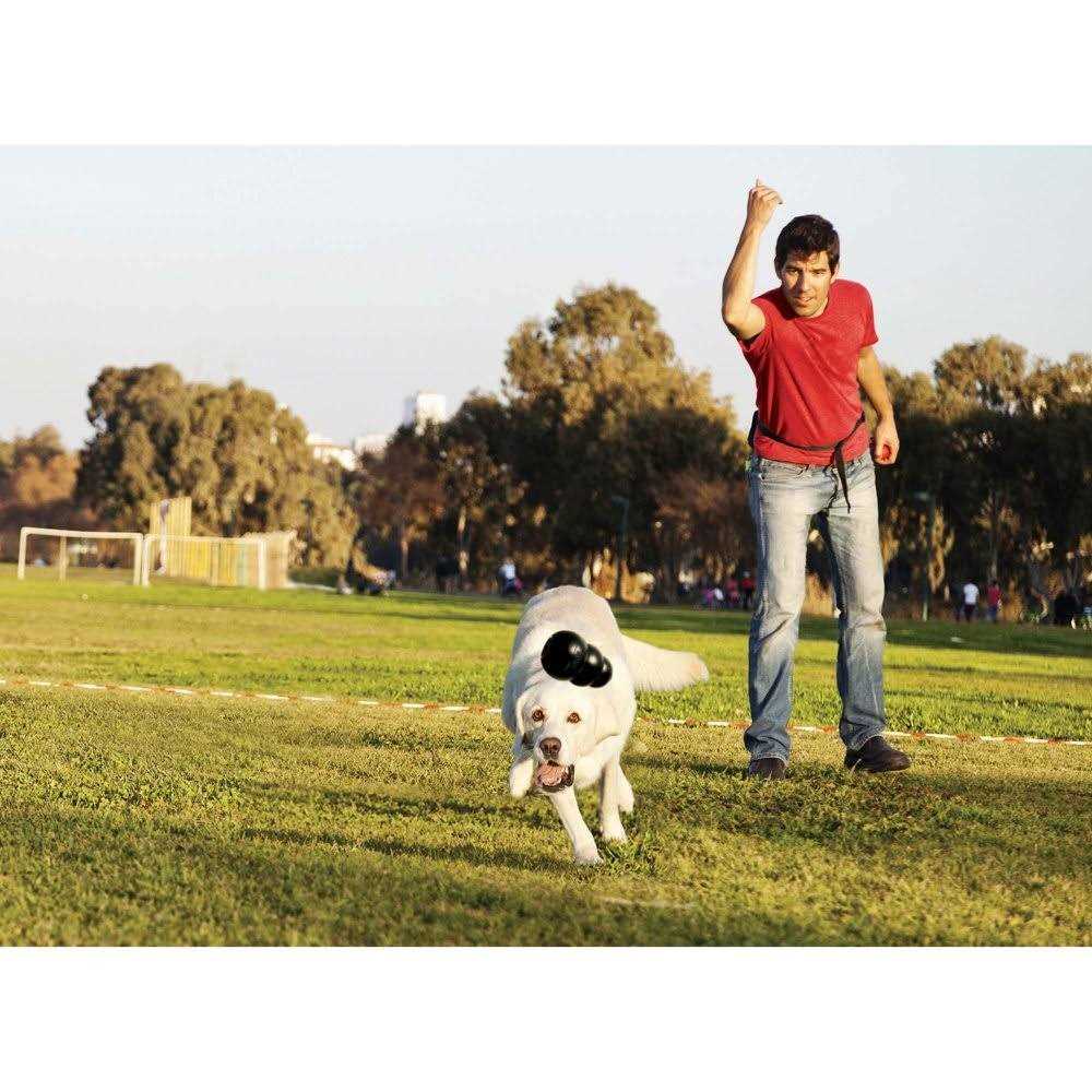 KONG Dog Toy K8465