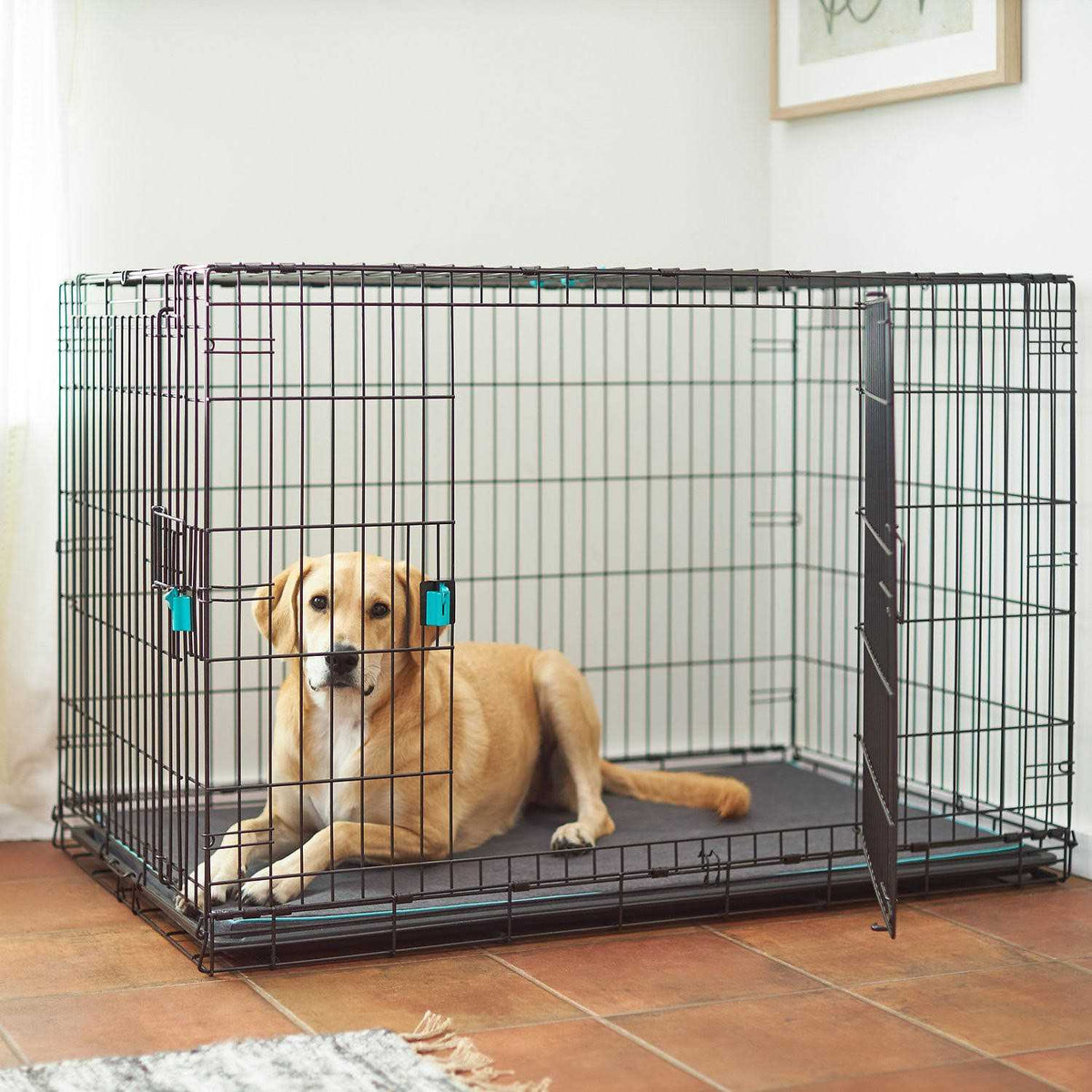 Wire Dog Crate Mat Kit E7798