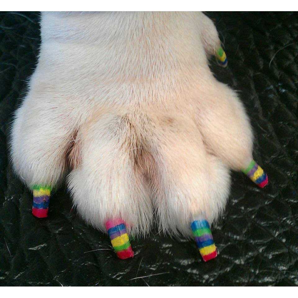Dog Nail Polish Pen D53979