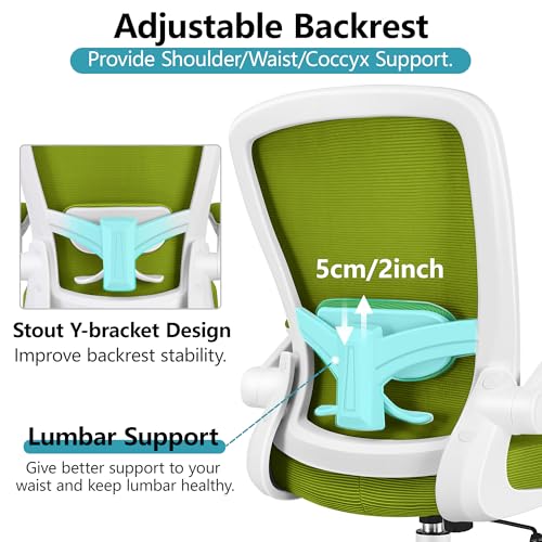 Ergonomic Mesh Office Chair with Lumbar Support Black O7267