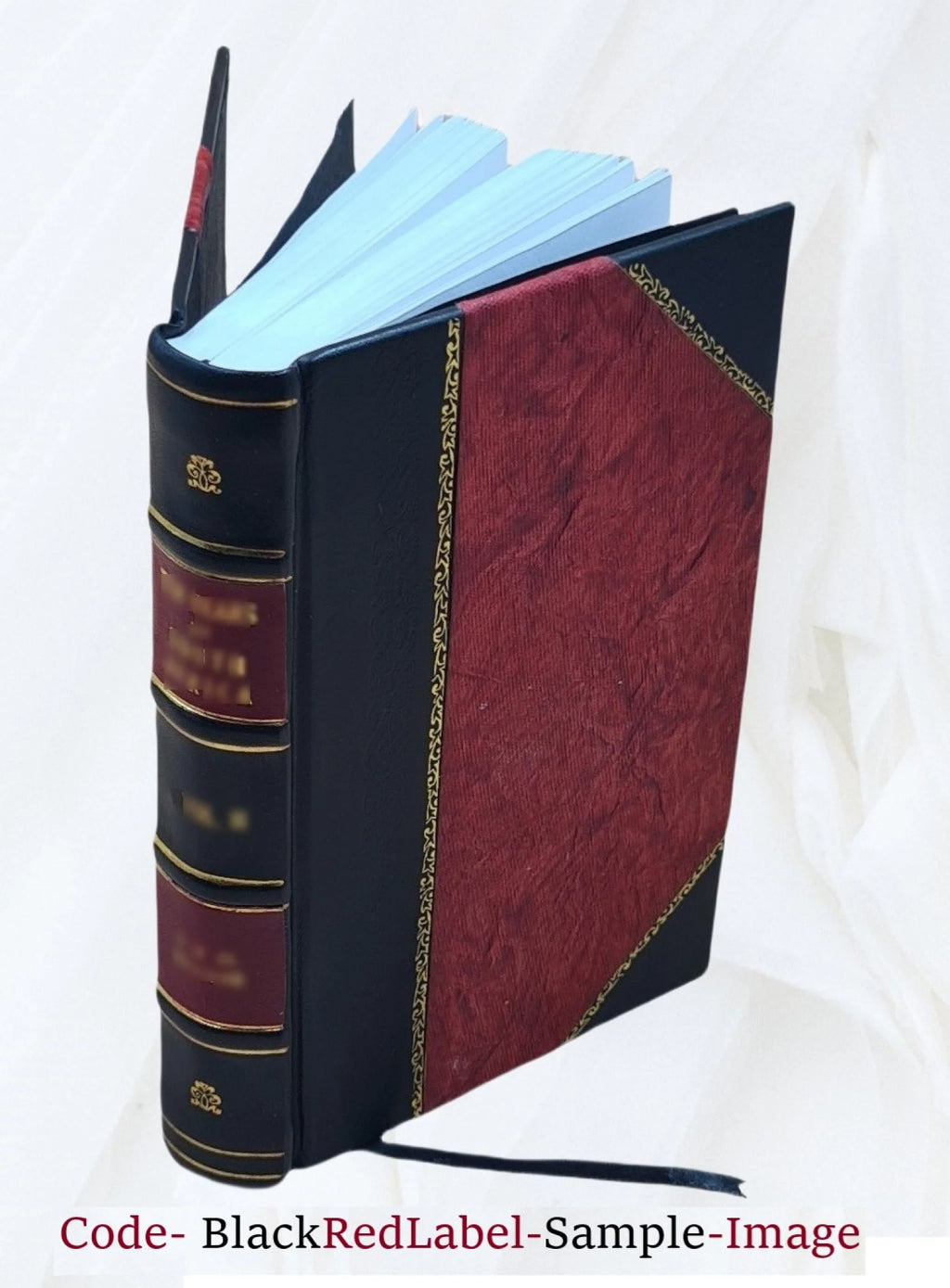Italian Women Literature Biography Leather Bound C811009