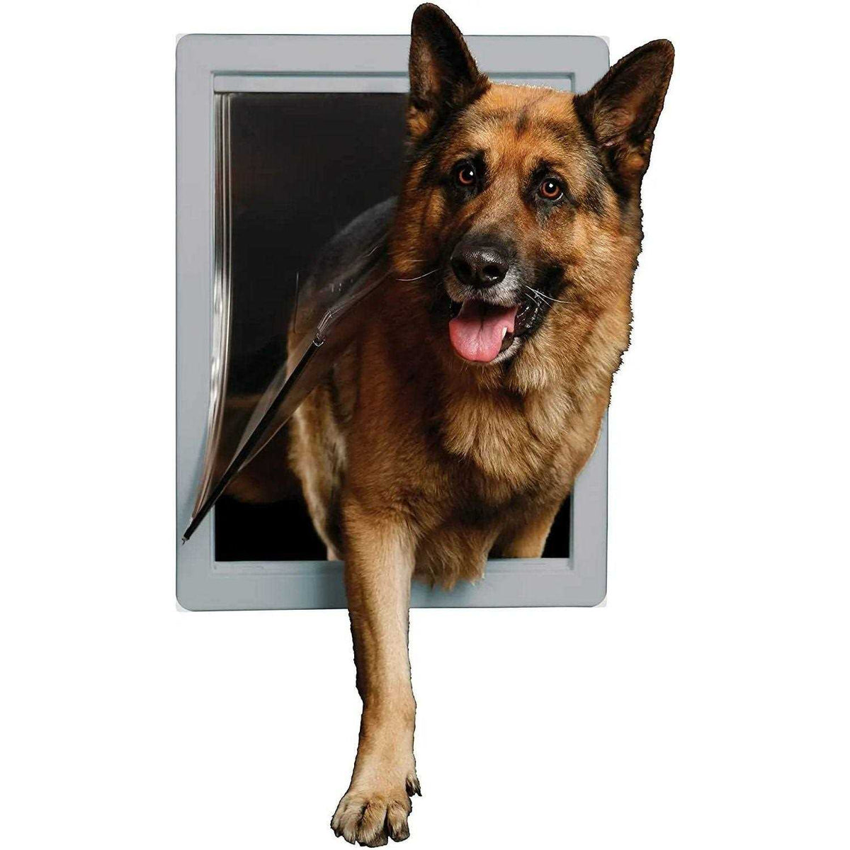 Pet Door X9621